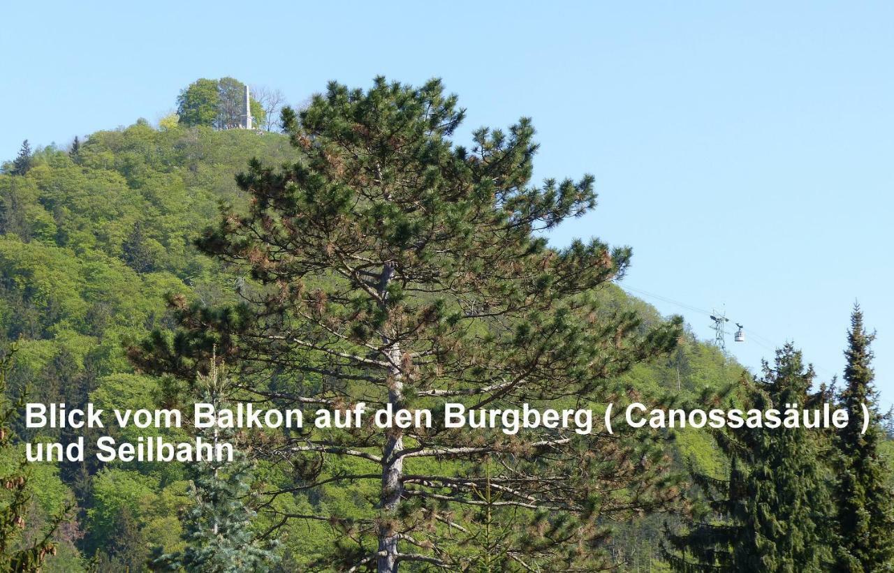 FeWo Parkblick Bad Harzburg Exterior foto